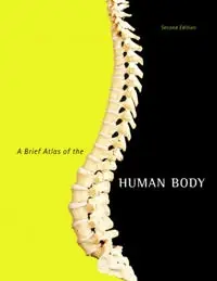 A brief atlas of the human body - Begagnad bok